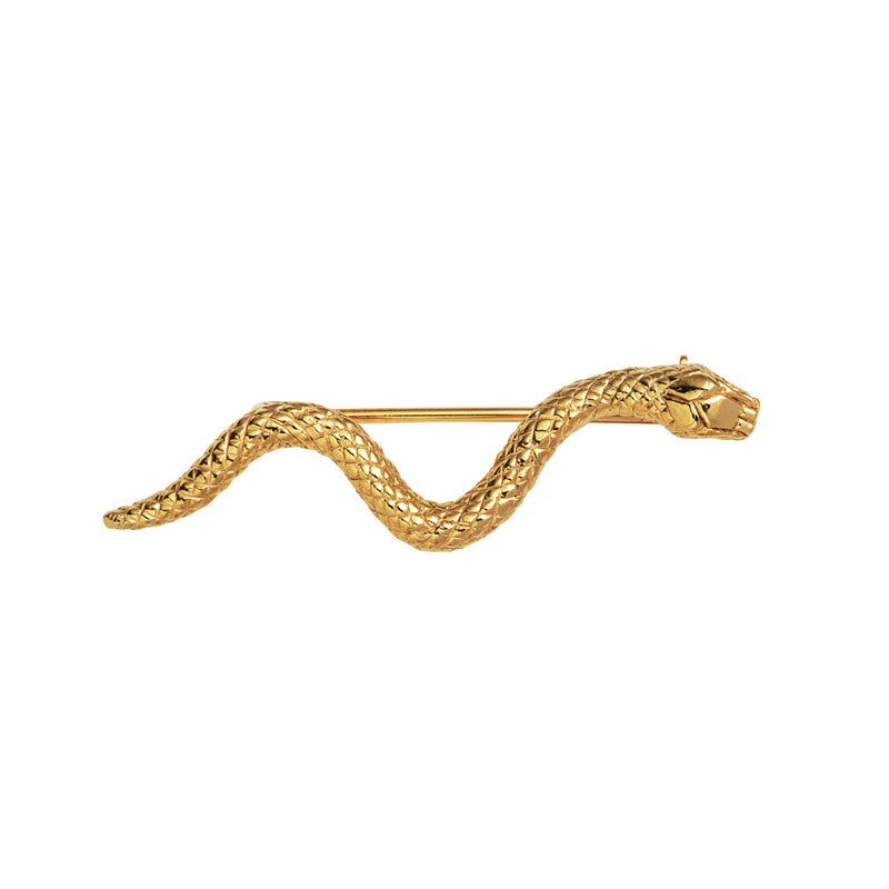 Serpent Brooch